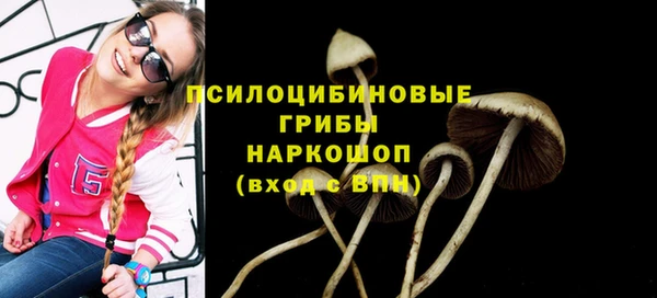 mix Нея